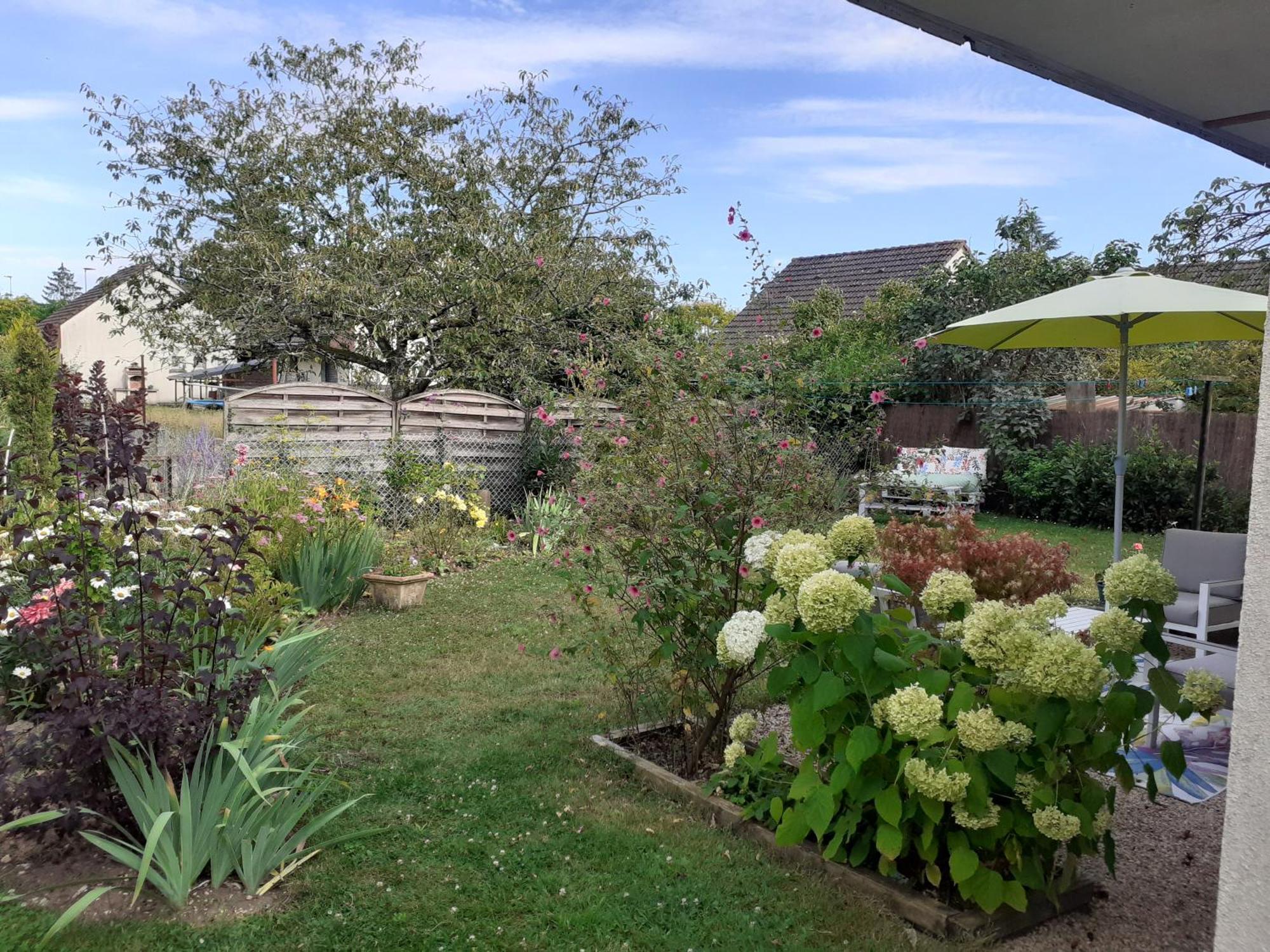 Les Oiseaux Chambre D'Hotes Saint-Florent-sur-Cher 外观 照片